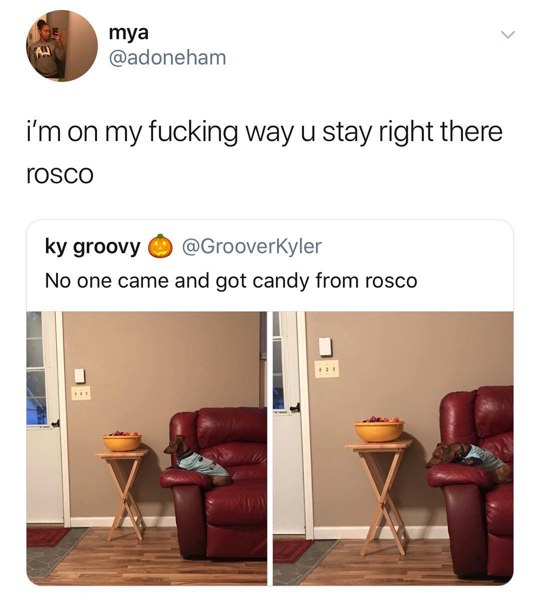 mya v adoneham im on my fucking way u stay right there rosco ky groovy GrooverKyler No one came and got candy from rosco