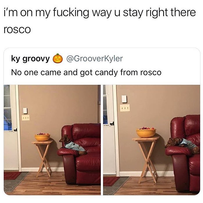 im on my fucking way u stay right there rosco ky groovy GrooverKyler No one came and got candy from rosco