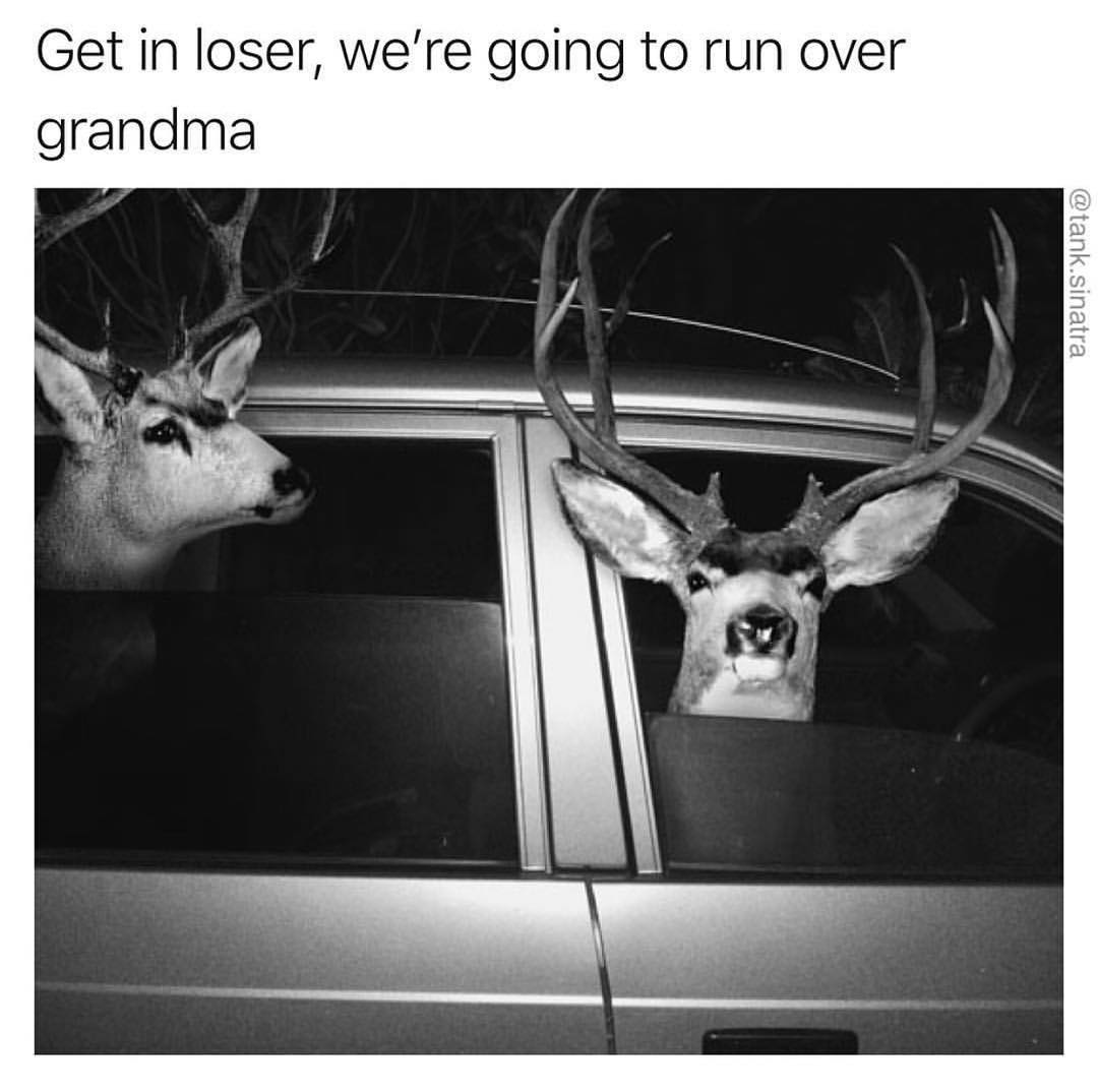 Get in loser were going to run over grandma