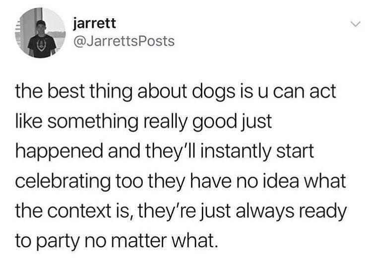 4B jarrett JarrettsPosts the best thing about dogs is u can act like something really good just happened and theyll instantly start celebrating too they have no idea what the context is theyre just always ready to party no matter what