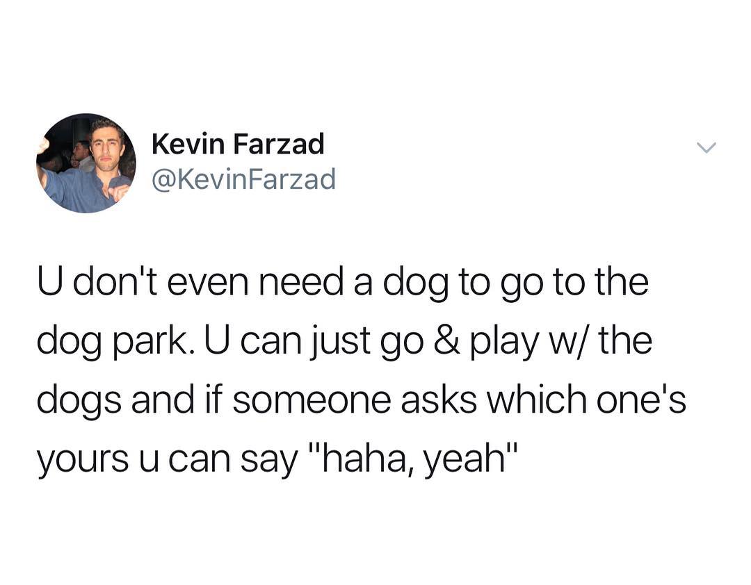 Kevin Farzad KevinFarzad U dont even need a dog to go to the dog park U can just go play w the dogs and if someone asks which ones yours u can say haha yeah