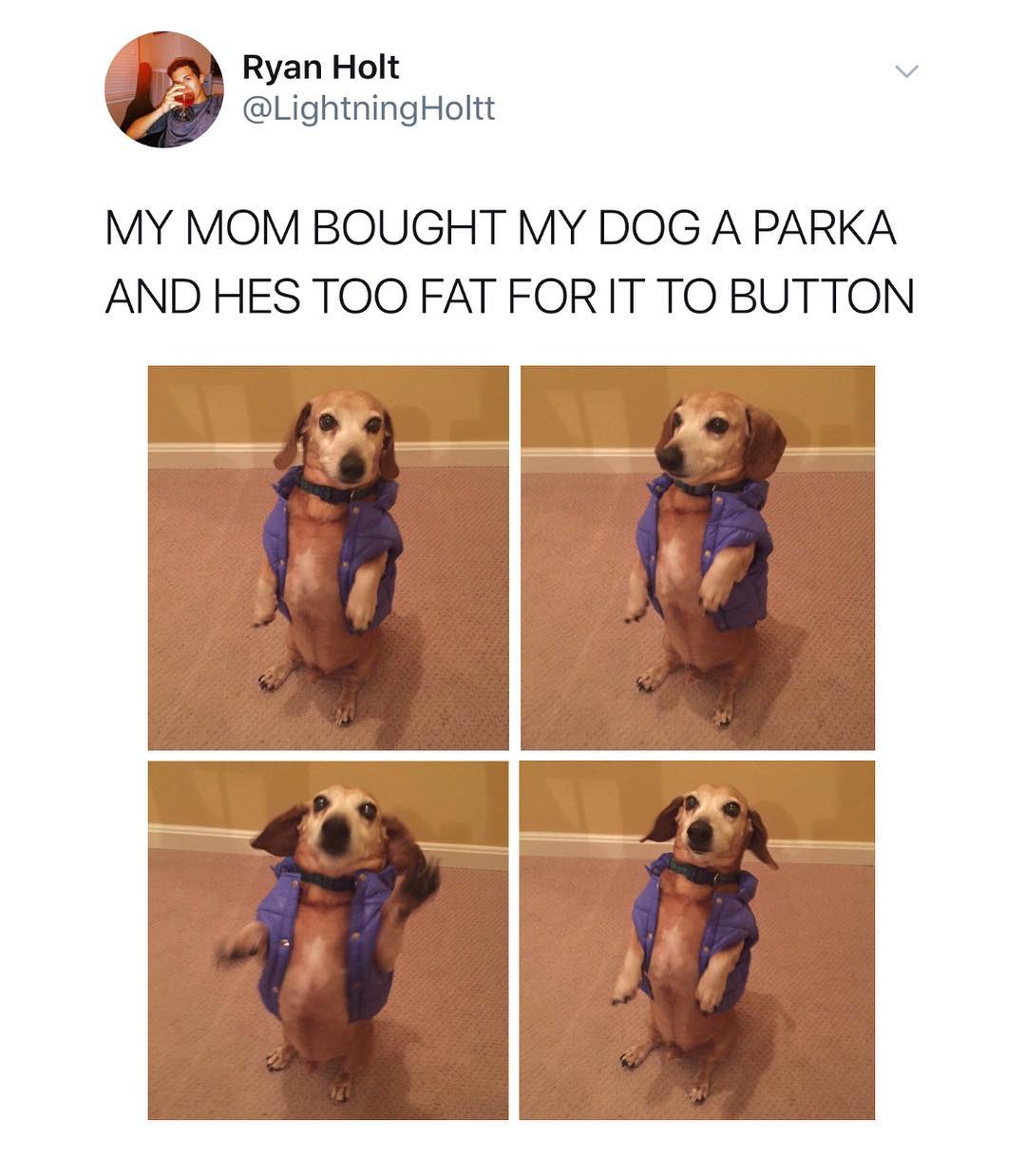 Ryan Holt v LightningHoltt MY MOM BOUGHT MY DOG A PARKA AND HES TOO FAT FORIT TO BUTTON