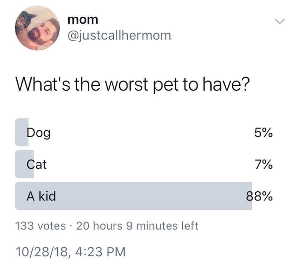 E mom justcallhermom Whats the worst pet to have Dog 5 Cat 7 A kid 88 133 votes 20 hours 9 minutes left 102818 423 PM