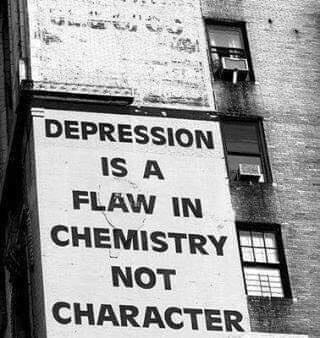 DEPRESSION IS A FLAW 1N CHEMISTRY NOT CHARACTER