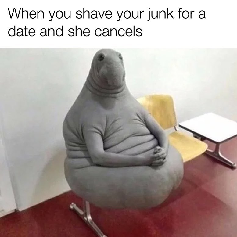 When you shave your junk for a date and she cancels
