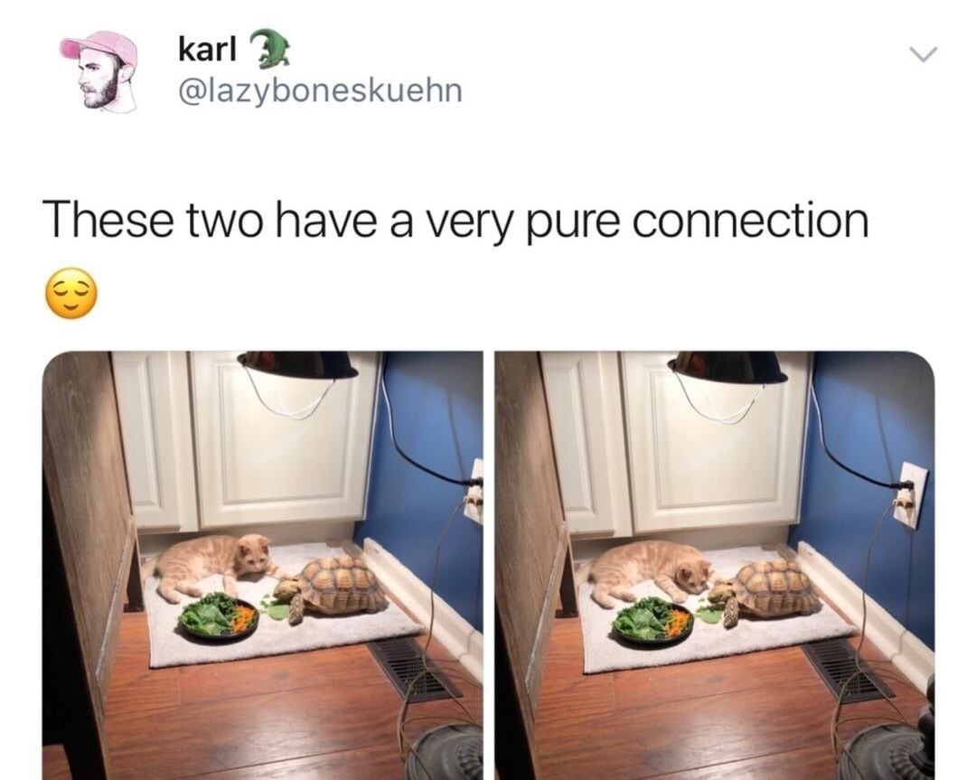 karl B of lazyboneskuehn These two have a very pure connection