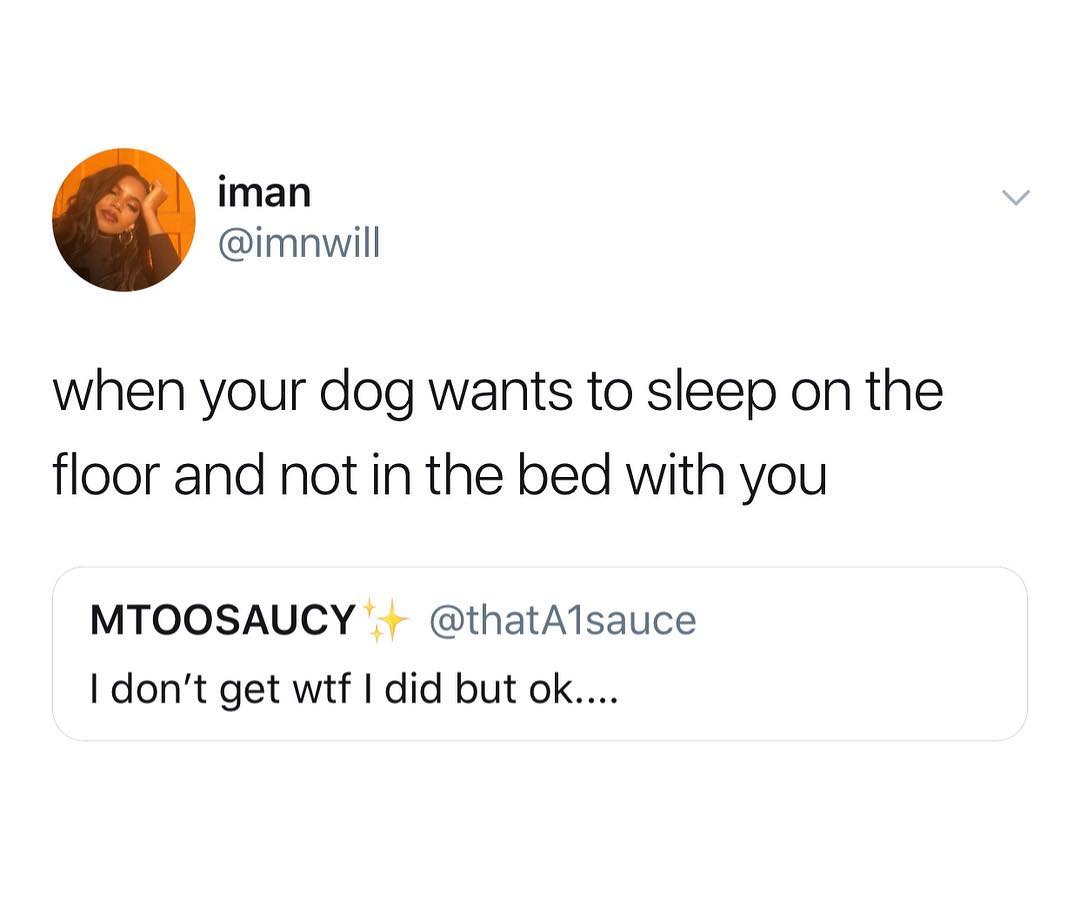 iman imnwill when your dog wants to sleep on the floor and not in the bed with you MTOOSAUCY thatAlsauce dont get wtf did but ok
