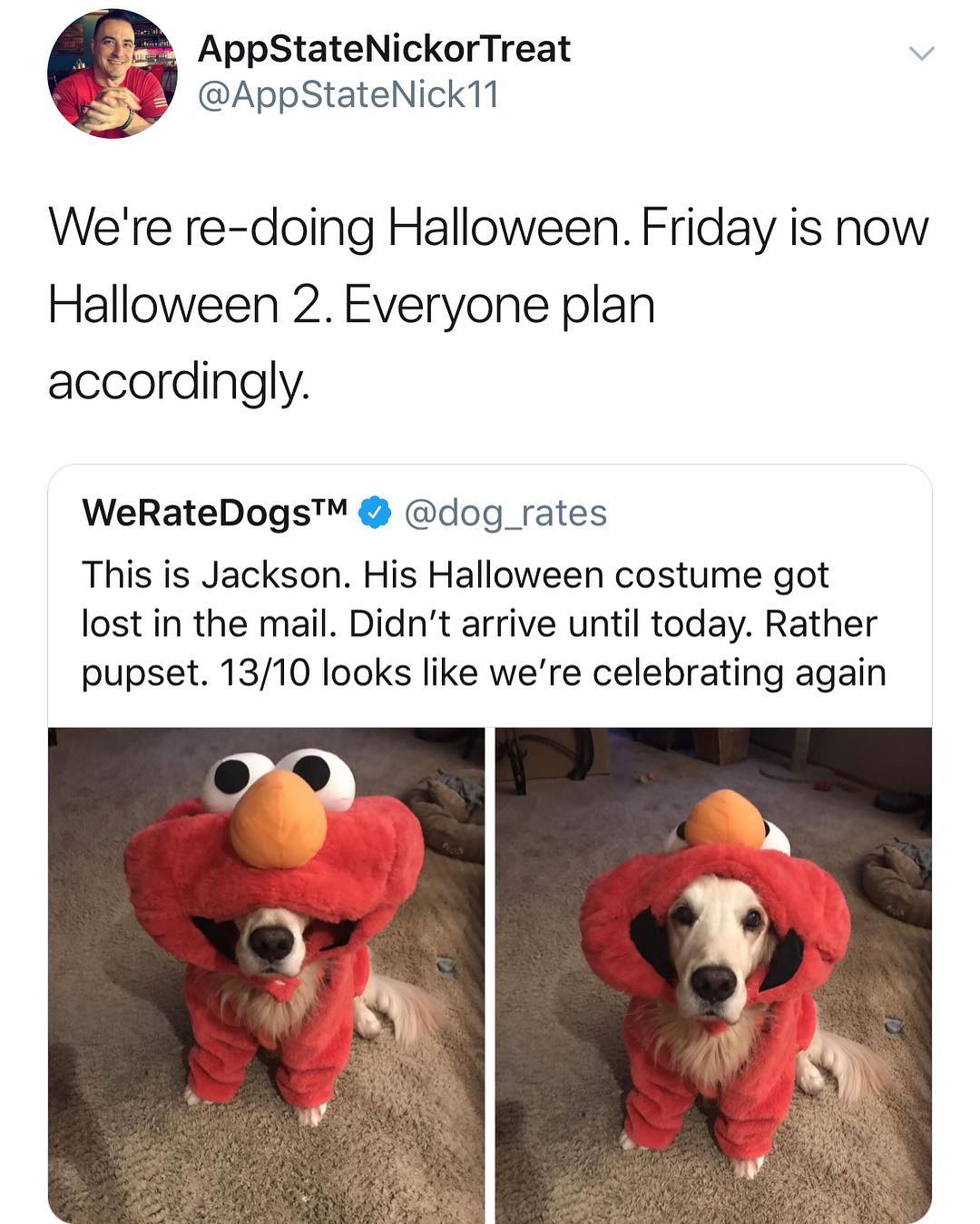 AppStateNickorTreat v AppStateNick11 Were re doing Halloween Friday is now Halloween 2 Everyone plan accordingly WeRateDogs dog_rates This is Jackson His Halloween costume got lost in the mail Didnt arrive until today Rather pupset 1310 looks like were celebrating again
