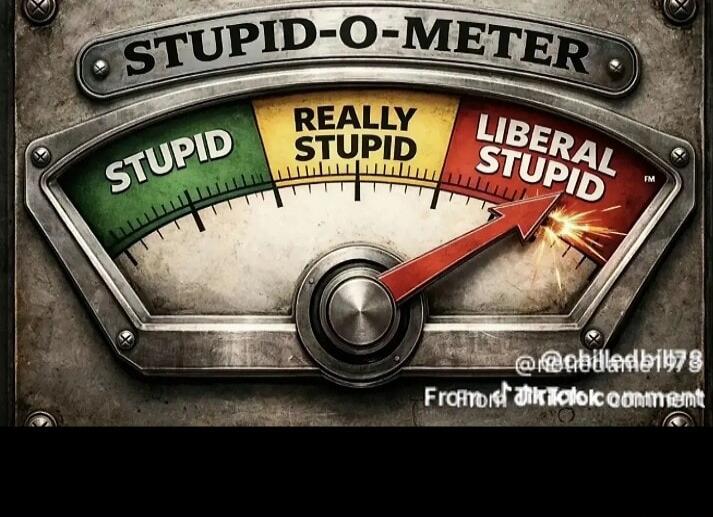 STUPID-O-METER. STUPID. REALLY STUPID. LIBERAL STUPID. From a TikTok comment. @chilledbill78.