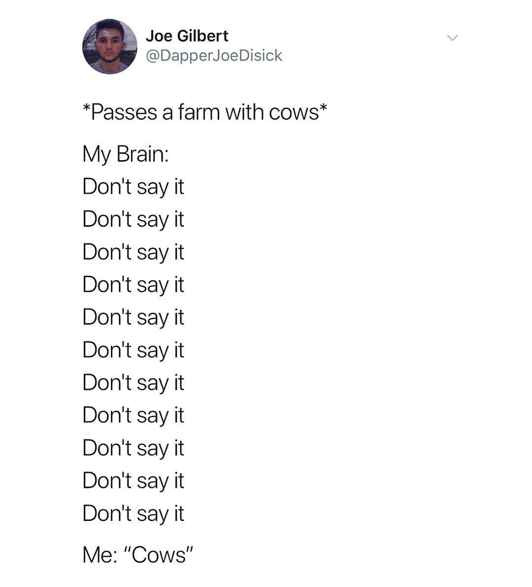 b Joe Gilbert DapperJoeDisick Passes a farm with cows My Brain Dont say it Dont say it Dont say it Dont say it Dont say it Dont say it Dont say it Dont say it Dont say it Dont say it Dont say it Me Cows