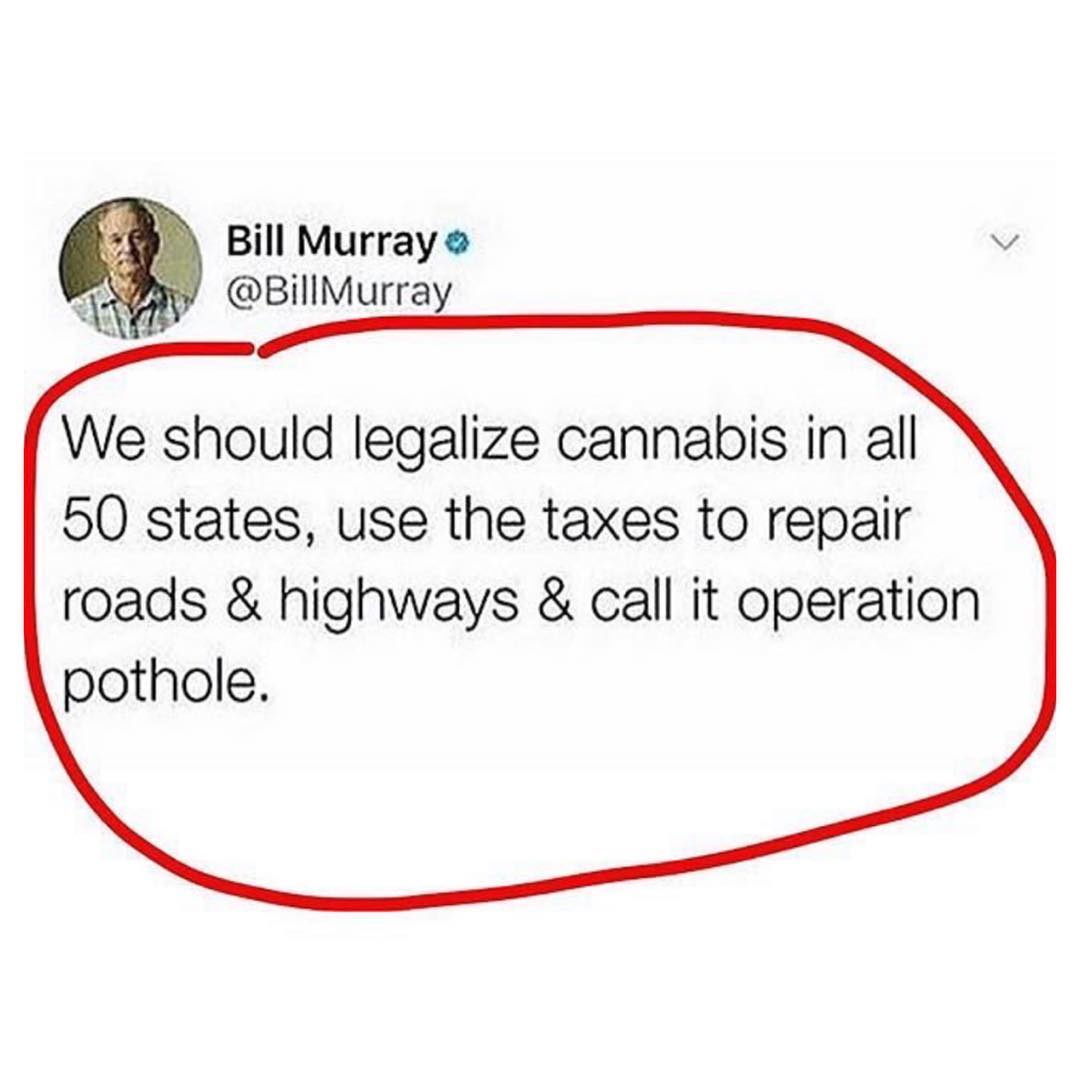 Bill Murray v Y BillMurray We should legalize cannabis in all 50 states use the taxes to repair roads highways call it operation pothole