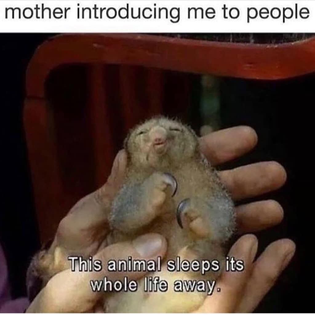 mother introducing me to people