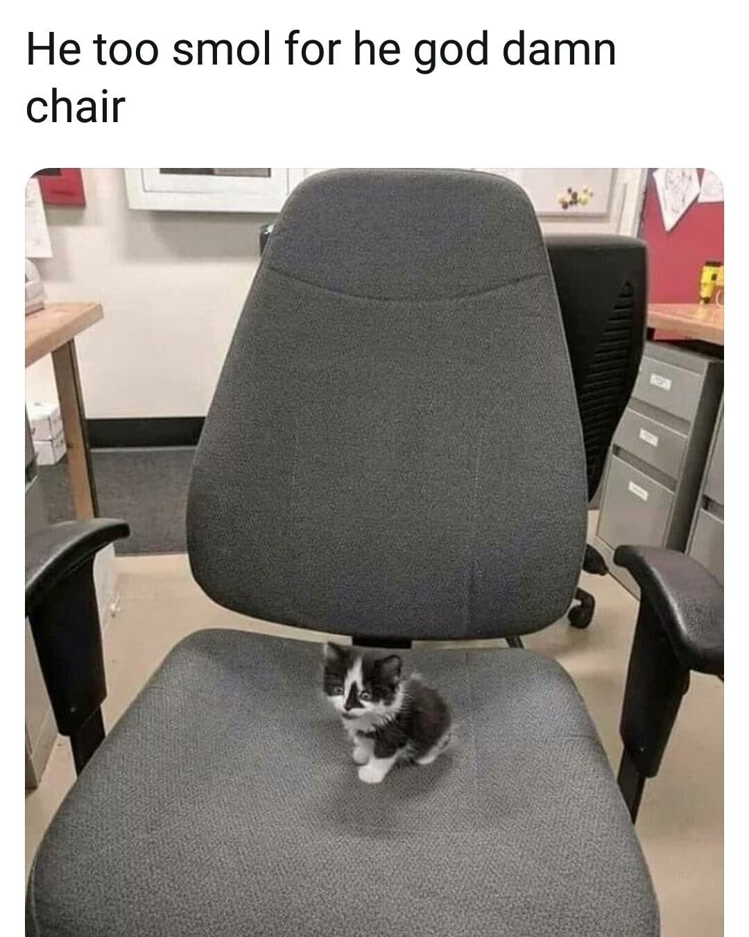 He too smol for he god damn