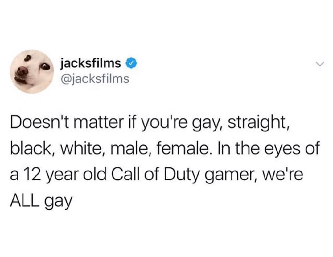 jacksfilms rJ jacksfilms Doesnt matter if youre gay straight black white male female In the eyes of a 12 year old Call of Duty gamer were ALL gay