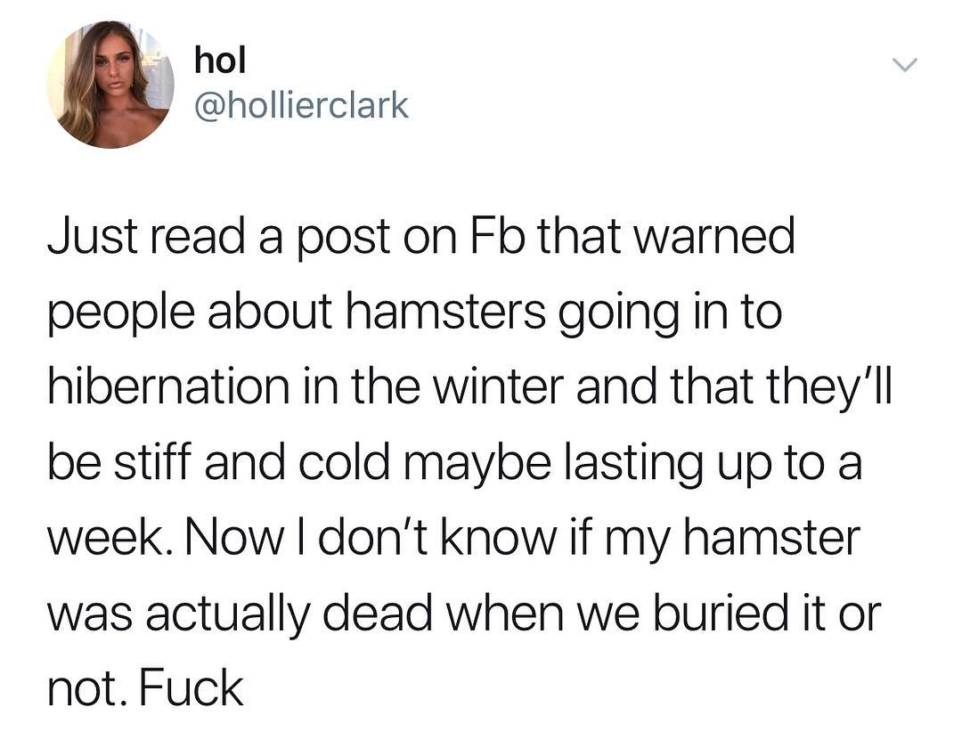 i hol hollierclark Just read a post on Fb that warned people about hamsters going in to hibernation in the winter and that theyll be stiff and cold maybe lasting up to a week Now dont know if my hamster was actually dead when we buried it or not Fuck