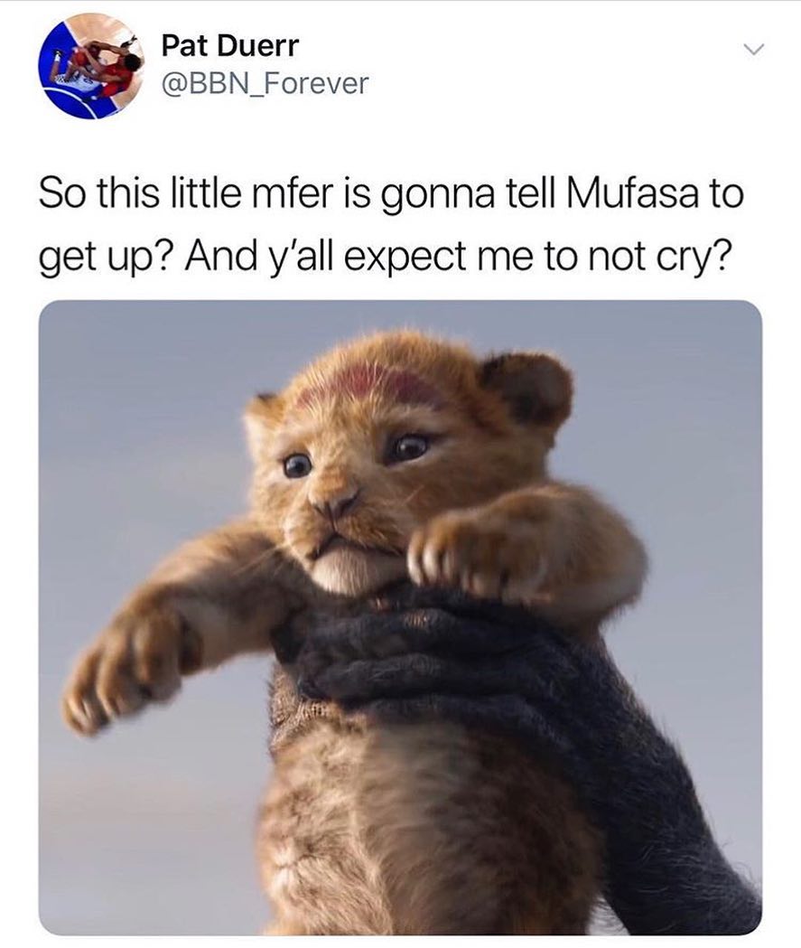 Pat Duerr BBN_Forever So this little mfer is gonna tell Mufasa to get up And yall expect me to not cry