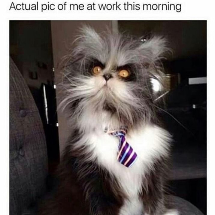 Actual pic of me at work this morning