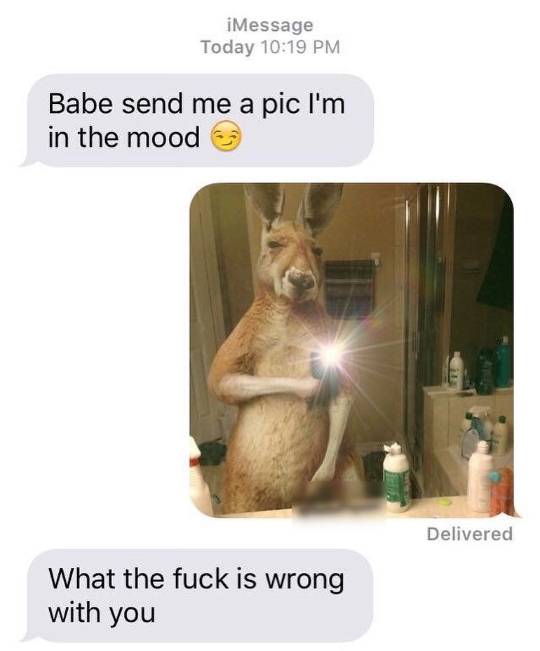 iMessage Today 1019 PM Babe send me a pic Im in the mood Delivered What the fuck is wrong with you