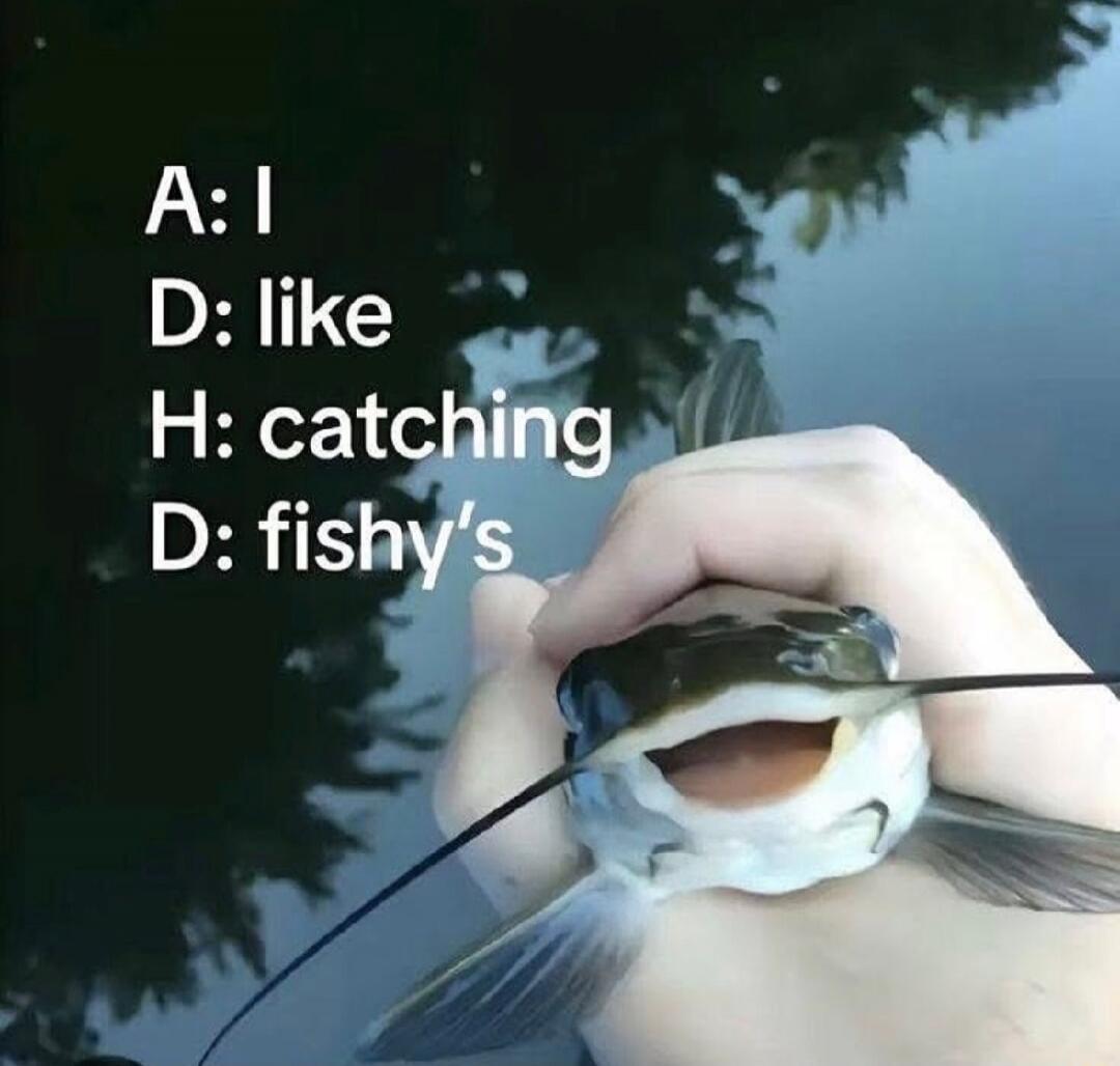 A: I\nD: like\nH: catching\nD: fishy’s