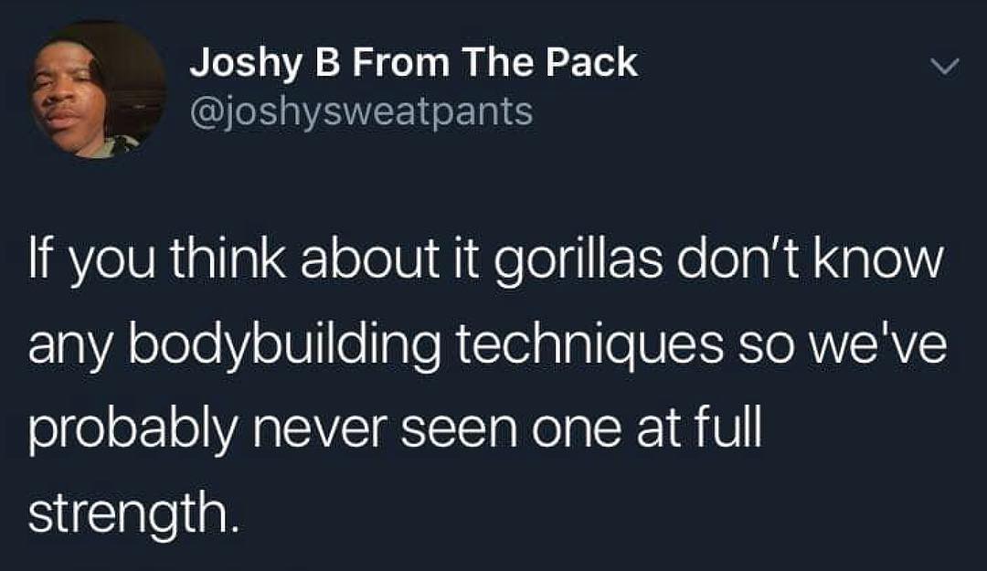 Joshy B From The Pack v joshysweatpants If you think about it gorillas dont know 10VA oJeleY oll e gle Tl SIS SRTO R VIEAVE probably never seen one at full Silalejial