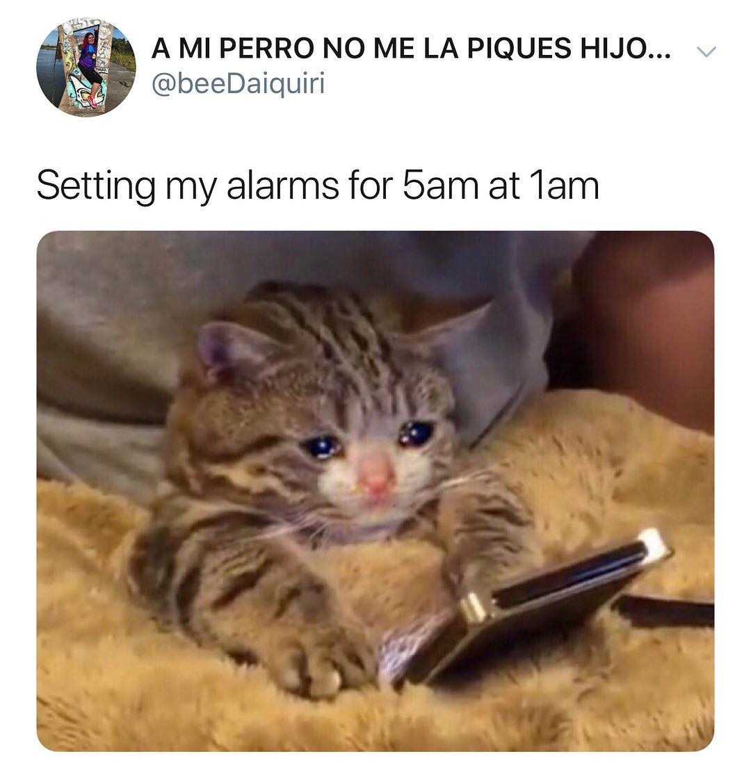 A MI PERRO NO ME LA PIQUES HIJO beeDaiquiri Setting my alarms for bam at Tam