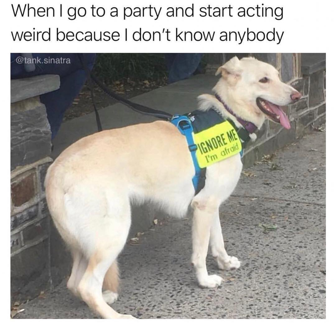 When go to a party and start acting weird because dont know anybody tanksinatra