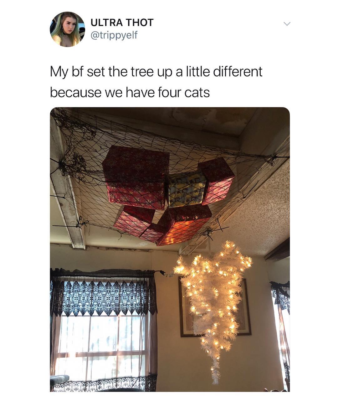 ULTRA THOT v iy trippyelf My bf set the tree up a little different because we have four cats
