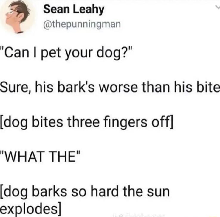 Q Sean Leahy thepunningman Can pet your dog Sure his barks worse than his bite dog bites three fingers off WHAT THE dog barks so hard the sun explodes