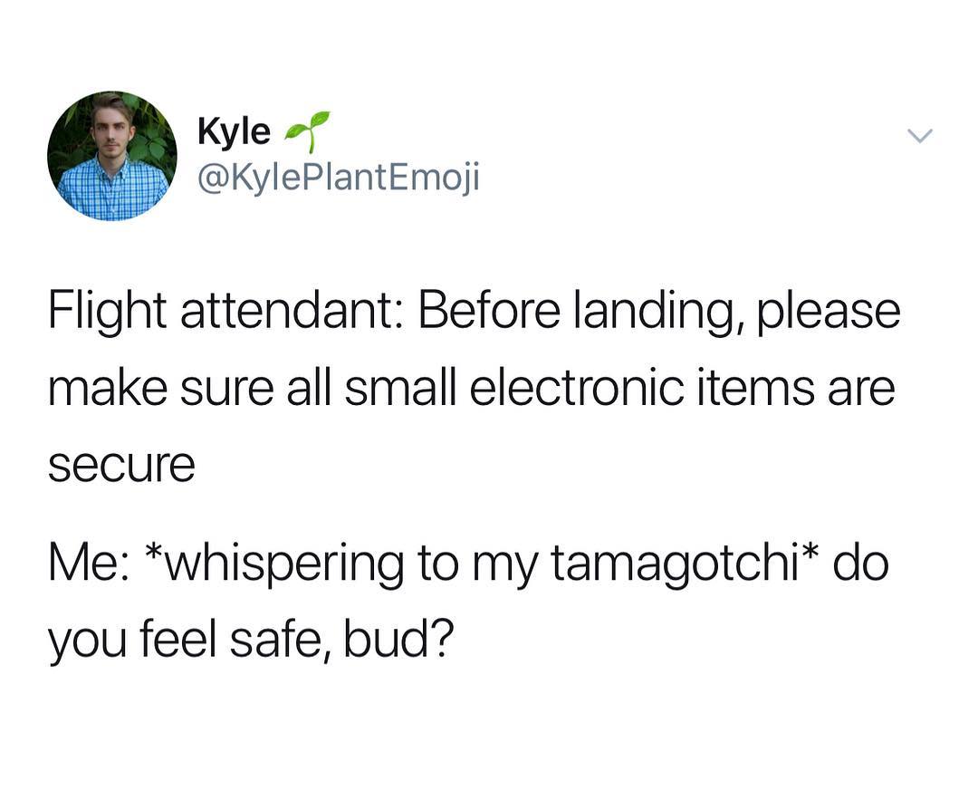 Kyle f KylePlantEmoji Flight attendant Before landing please make sure all small electronic items are secure Me whispering to my tamagotchi do you feel safe bud