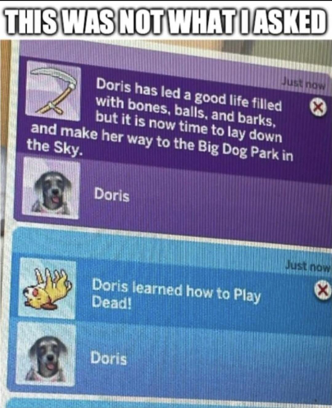 GIJBEIBHDETIEDEEIED nmmumlml Il Il Doris learned how to Play Dead