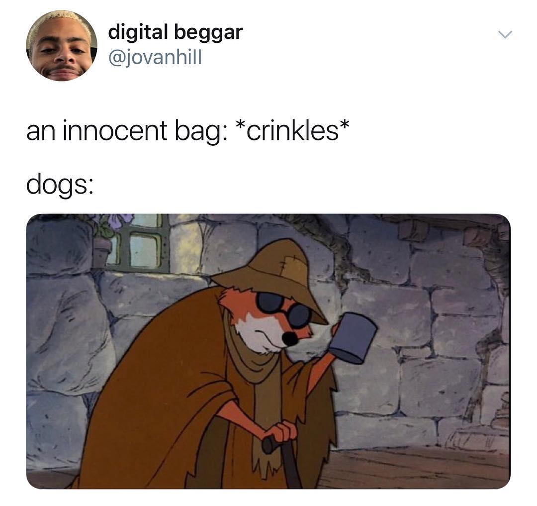 digital beggar jovanhill an innocent bag crinkles dogs