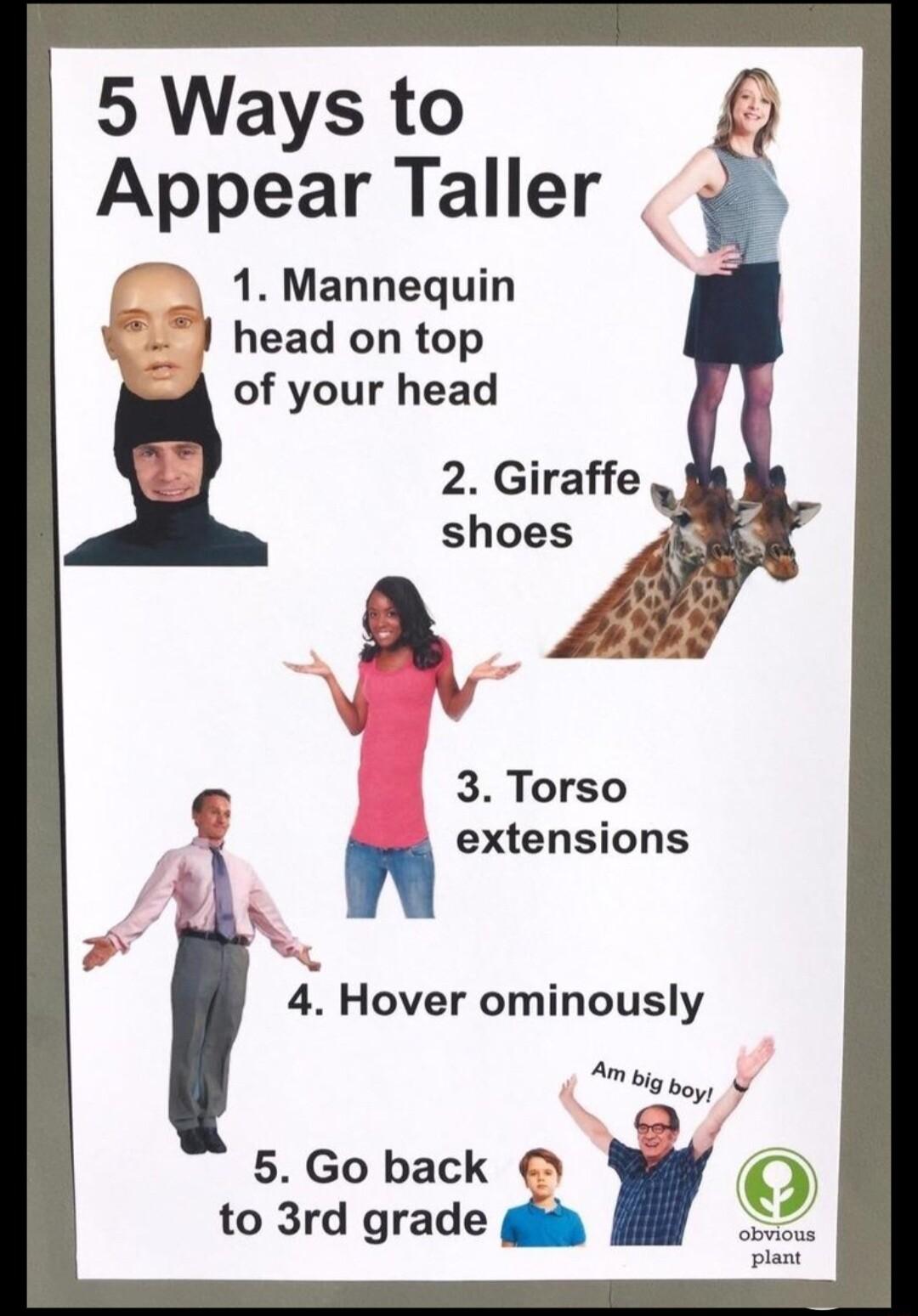 5 Ways to Appear Taller 1 Mannequin head on top of your head 2 Giraffe a N 3 Torso b extensions N 4 Hover ominously Ambig by 5 Go back to 3rd grade i