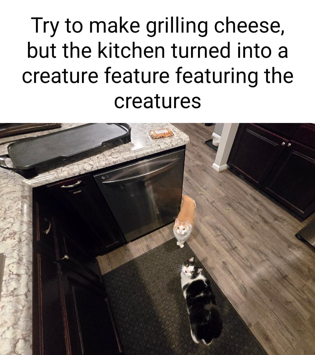 Try to make grilling cheese but the kitchen turned into a creature feature featuring the creatures