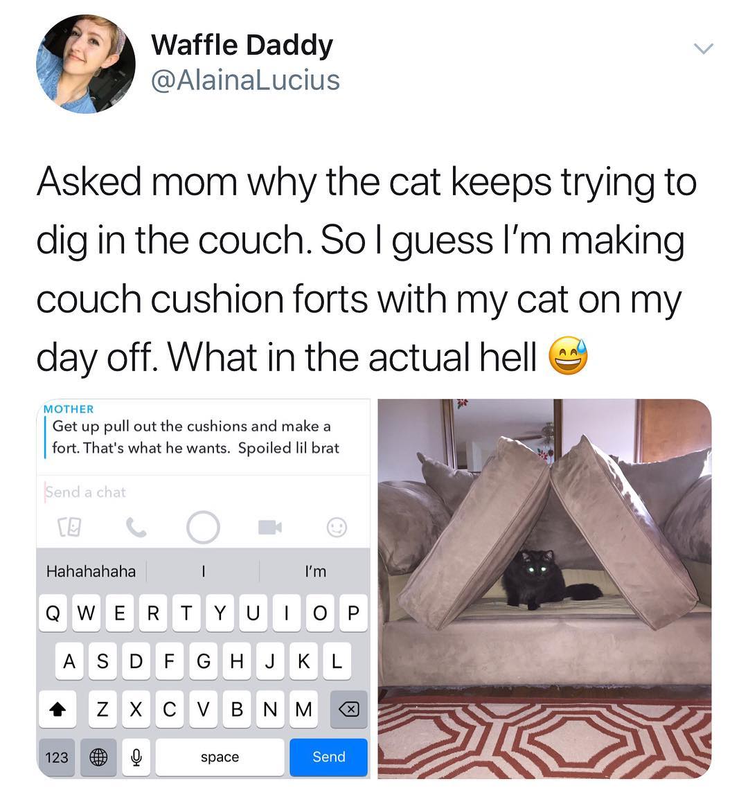 Waffle Daddy v AlainalLucius Asked mom why the cat keeps trying to dig in the couch So guess Im making couch cushion forts with my cat on my day off What in the actual hell MOTHER Get up pull out the cushions and make a fort Thats what he wants Spoiled il brat Hahahahaha Im QIWIERTJYJUI JOP ASDJFIGJHJKL