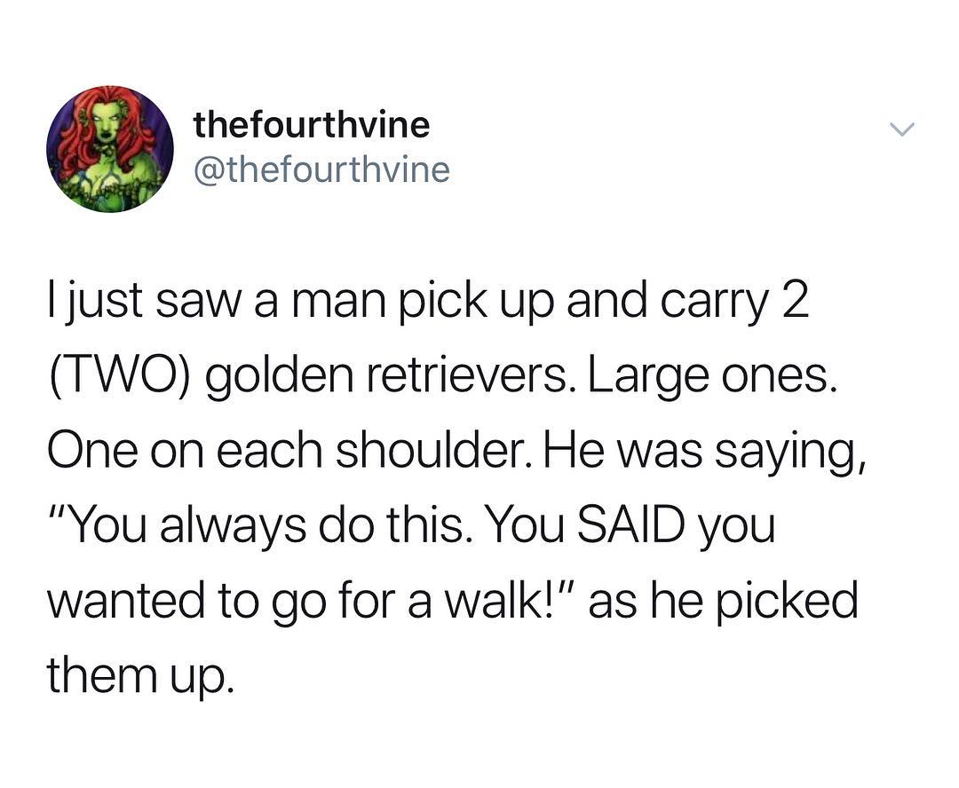 thefourthvine thefourthvine just saw a man pick up and carry 2 TWO golden retrievers Large ones One on each shoulder He was saying You always do this You SAID you wanted to go for a walk as he picked them up