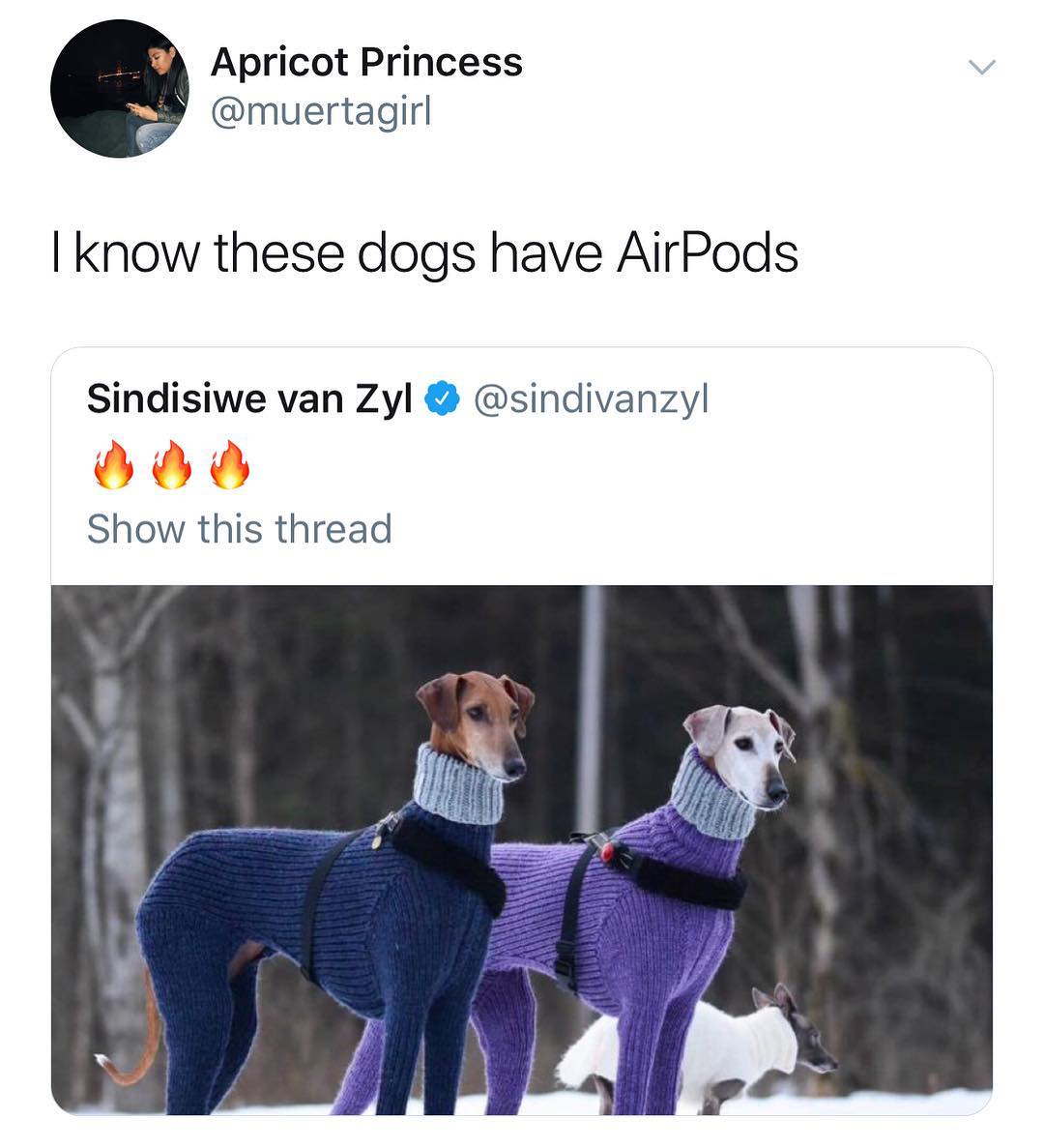 Apricot Princess muertagirl know these dogs have AirPods Sindisiwe van Zyl sindivanzyl Show this thread