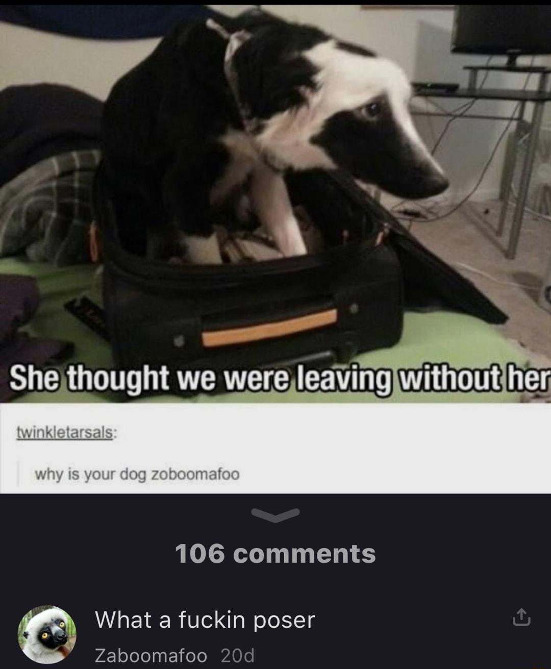 106 comments What a fuckin poser P 7 hoomatoo 200