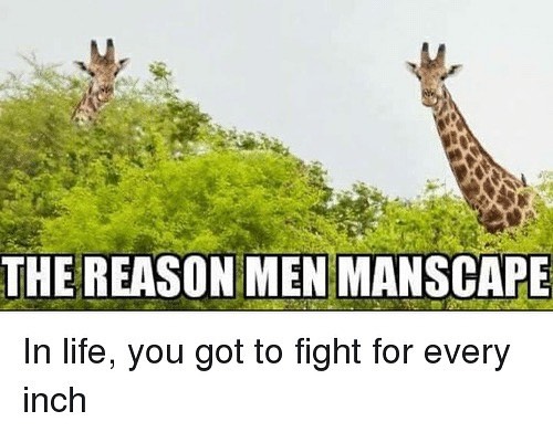 In life you got to fight for every inch