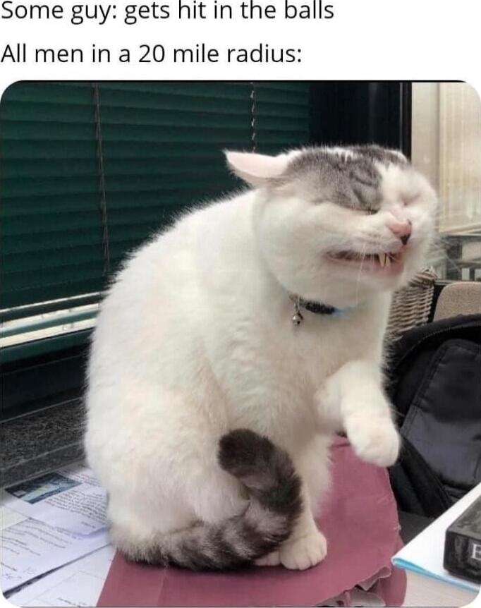 Some guy gets hit In the balls All men in a 20 mile radius