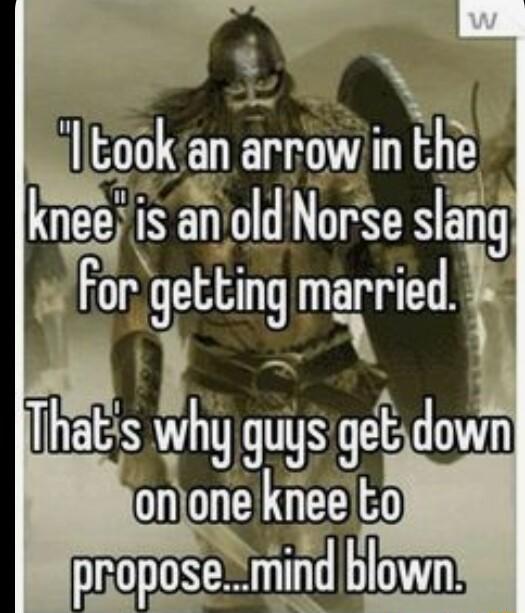 Eook an arrowin the kneis an old Norse slang 4 forgetting married UEESTLITS get dovin onjone kneeto propose mind blown