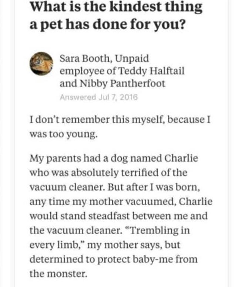 What is the kindest thing apet has done for you Sara Booth Unpaid employee of Teddy Halftail and Nibby Pantherfoot I dont remember this myself because I was too young My parents had a dog named Charlie who was absolutely terrified of the vacuum cleaner But after I was born any time my mother vacuumed Charlie would stand steadfast between me and the vacuum cleaner Trembling in every limb my mother 