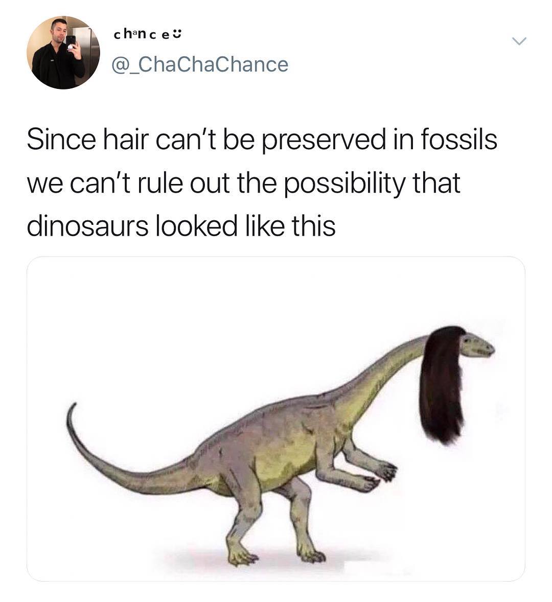 chncev _ChaChaChance Since hair cant be preserved in fossils we cant rule out the possibility that dinosaurs looked like this