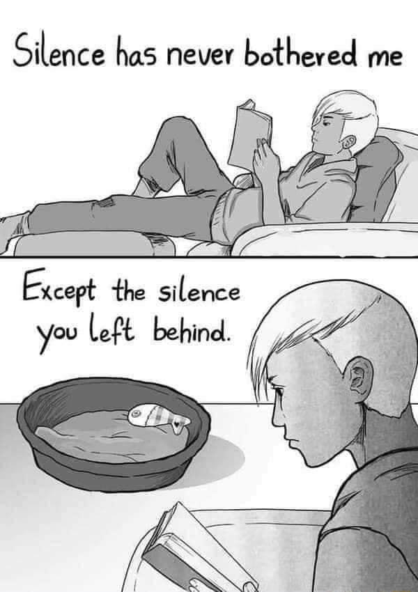 Silence has never bothered me Except the silence you left behind