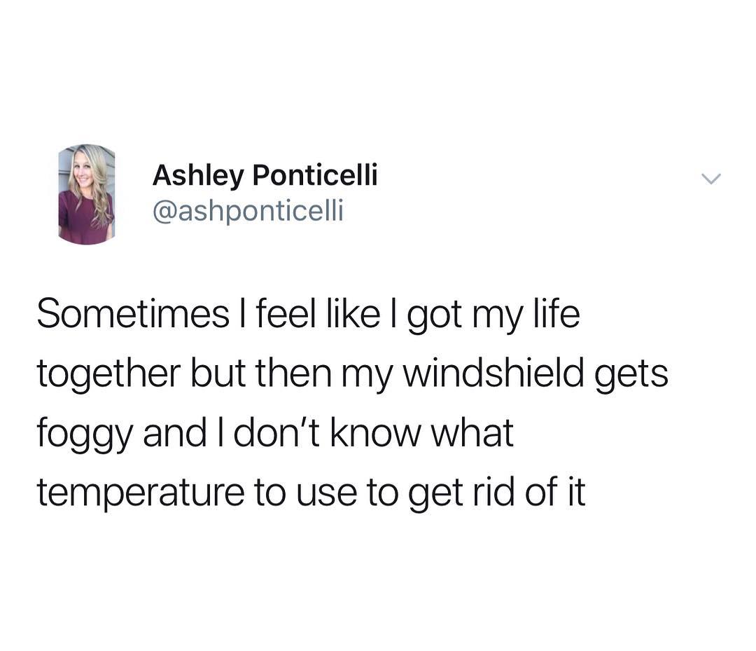 Wi Ashley Ponticelli ashponticelli Sometimes feel like got my life together but then my windshield gets foggy and dont know what temperature to use to get rid of it