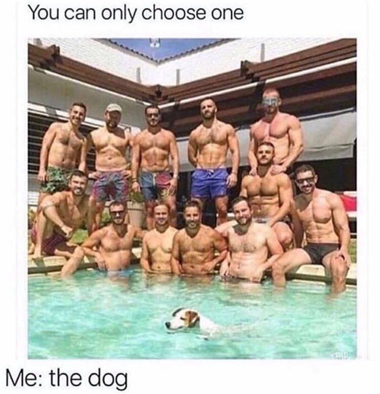 You can only choose one Me the dog