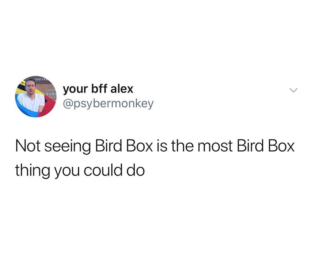 your bff alex p psybermonkey Not seeing Bird Box is the most Bird Box thing you could do