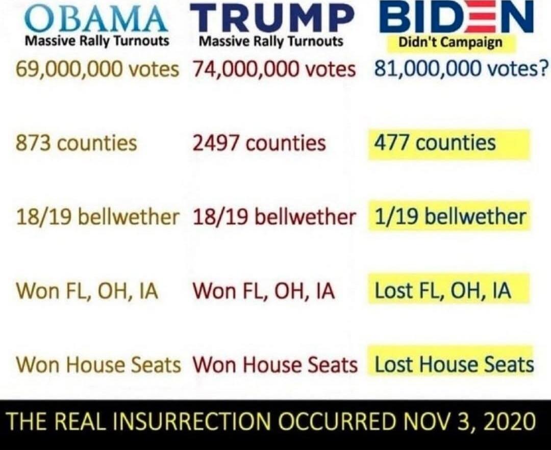 OBAMA Massive Rally Turnouts 69,000,000 votes\nTRUMP Massive Rally Turnouts 74,000,000 votes\nBIDEN Didn't Campaign 81,000,000 votes\n873 counties 2497 counties 477 counties\n18/19 bellwether 18/19 bellwether 1/19 bellwether\nWon FL, OH, IA Won FL, OH, IA Lost FL, OH, IA\nWon House Seats Won House Seats Lost House Seats\nTHE REAL INSURRECTION OCCUR