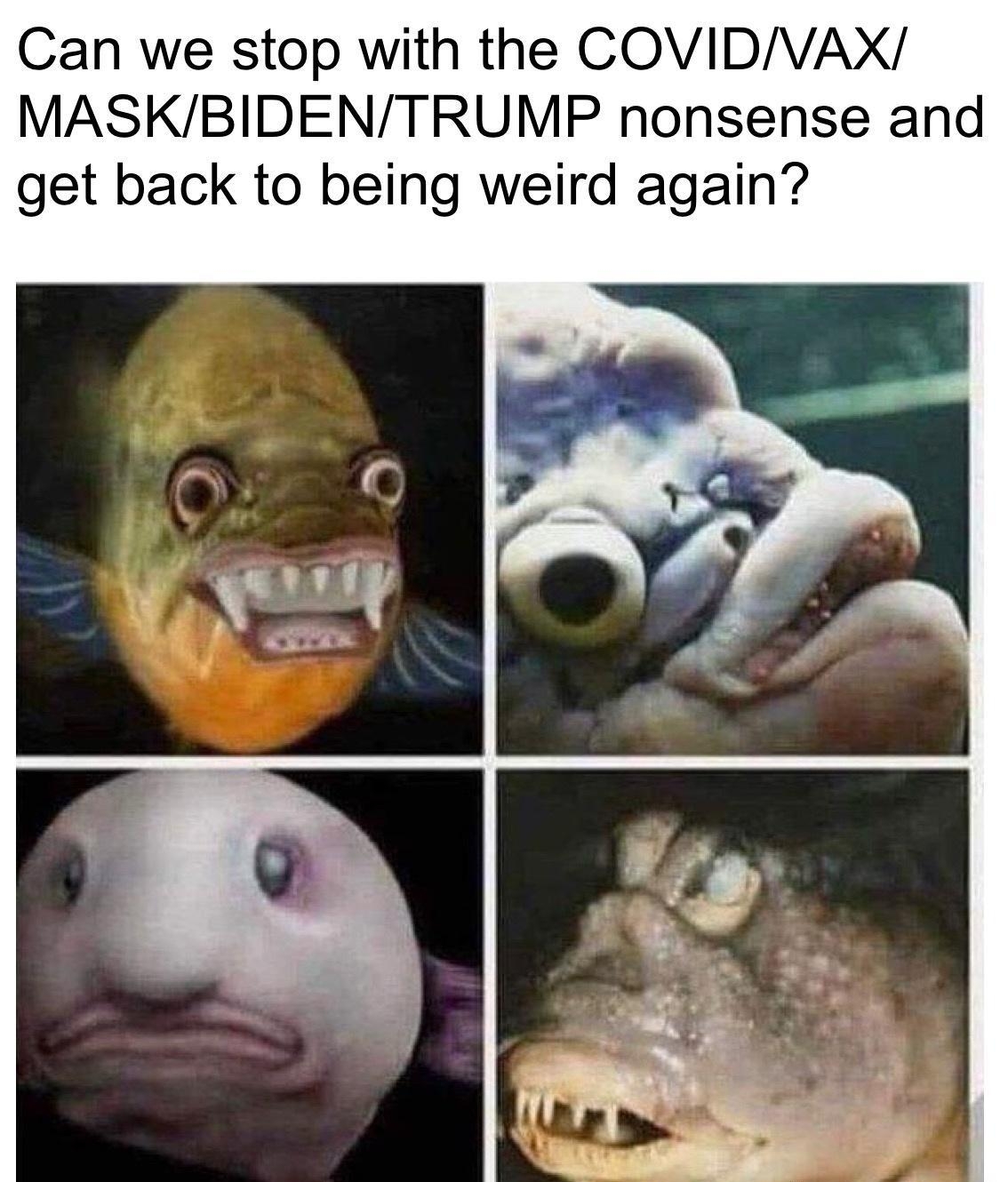 Can we stop with the COVIDVAX MASKBIDENTRUMP nonsense and get back to being weird again