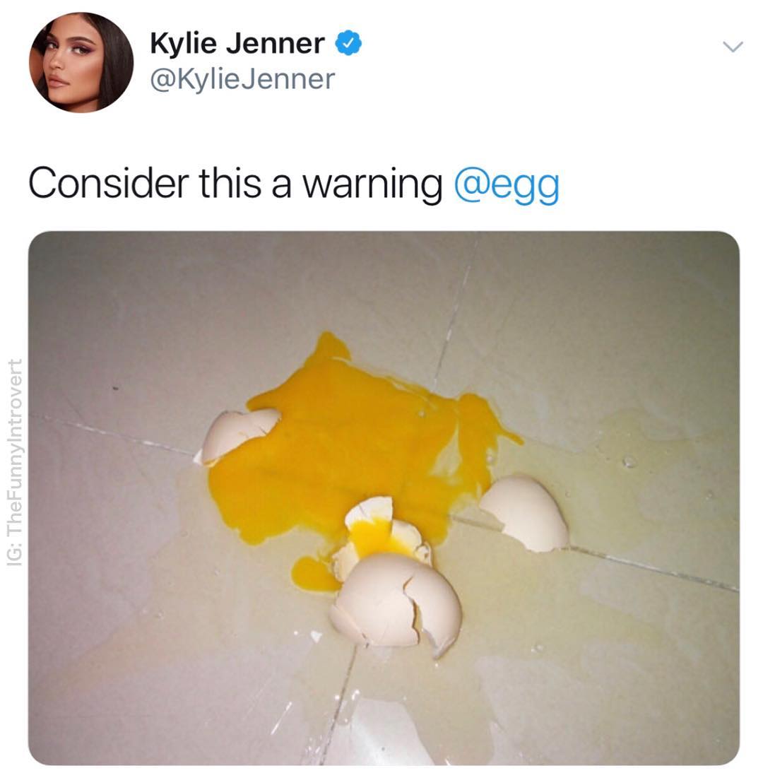 Kylie Jenner KylieJenner Consider this a warning egg