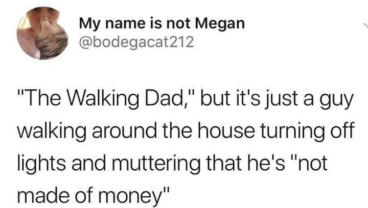 My name is not Megan bodegacat212 The Walking Dad but its just a guy walking around the house turning off lights and muttering that hes not made of money